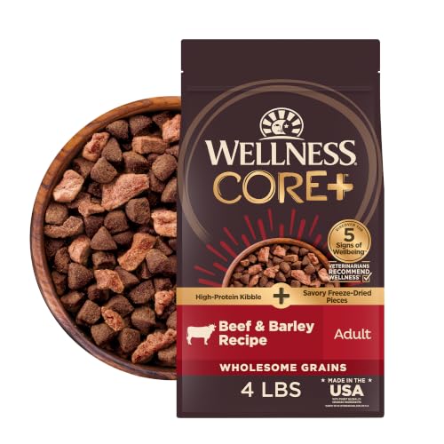 Image of Wellness CORE+ Adult Dry Dog Food with Freeze Dried Pieces, Wholesome Grain Kibble+, Natural, High Protein, Beef and Barley Recipe, 4 lb Bag