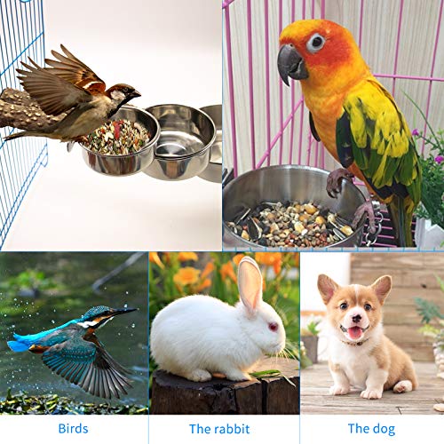 Ciotola per Uccelli, 2 Pezzi Ciotola per