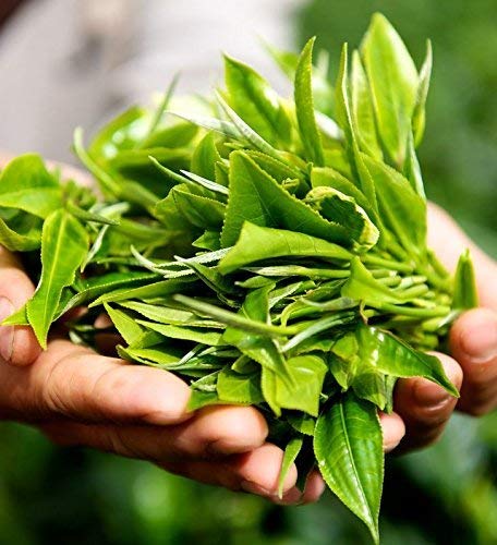 Basilur Earl Grey Black-Tea Bulk Packaging Single-Source Single-Origin-Tea 100% Pure Natural Black Tea 100 Count Foil Enveloped Tea-Bags 100 #TOP4