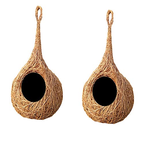 LIVEONCE Safest Round Organic Bird nest Purely Handmade Sparrow/Small Birds, Material Type -Coir,Color -Brown, Set of 2…