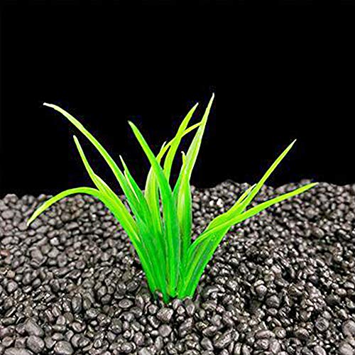 Image of Aquarium Plant Fish Tank Decoration 20 Pieces Small /1 inch Tall Plastic Artificial Plant Goldfish Hidden Mini Grass Set (Green-B)