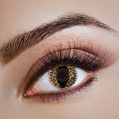 Preisvergleich Produktbild Catwoman