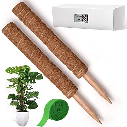 Comonc 24 inch Moss Pole Totem Pole Plant Support -2Pcs 17.5 inch Coir Totem Pole Coir Moss Stick Coir Pole for Climbing Plants