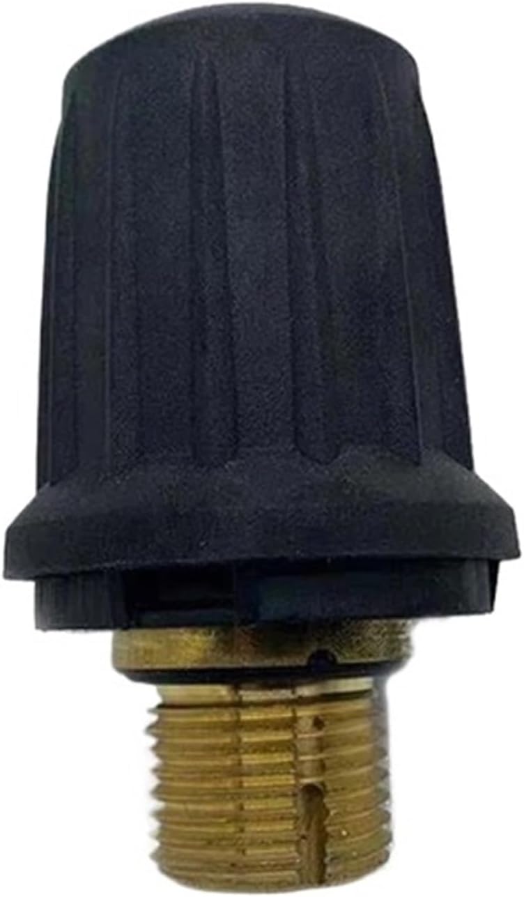 Brass Safety Valve Replacement, Compatible with KARCHER SC1/SC2/CTK10/SC4/SC5/SG4-4, Steam Cleaner Pressure Relief Accessories(FOR SG4-4)