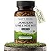 Jolly's Herbal Jamaican Guinea Hen Root, Anamu Herb, 100% Wild Harvested, 60 Vegi Capsules (Pack of 1)