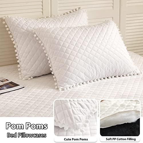 Liferevo Luxury Plush Shaggy Duvet Cover Set, Soft Velvet Fluffy Furry Duvet Cover Set(1 Faux Fur Fuzzy Comforter Cover + 2 Pom Poms Pillowcases) Solid Bedding Set, Zipper Closure(Full/Queen, White) #TOP1