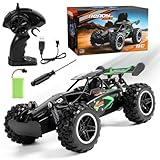 LISAPRO Coche Todoterreno de Control Remoto, 2WD Carro Acrobático RC Recargable, 2.4GHz Coche Todoterreno Alta Velocidad...