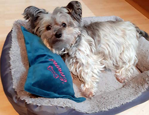 Personalisierte Hundekissen Handgefertigt bestickt 5 Farben Geschenk Hunde Kissen Baby Deco