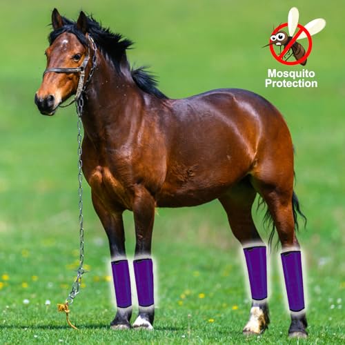 Image of FOXLVDA Horse Fly Boots Medium