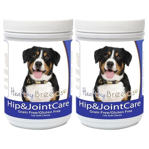 Healthy Breeds Entlebucher Mountain Dog Hip and Joint Care 120 Count (Pack of 2)