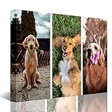 Personalized Canvas Pictures, Custom Photo Canvas, Photo Canvas Prints Custom, Personalized Canvas...