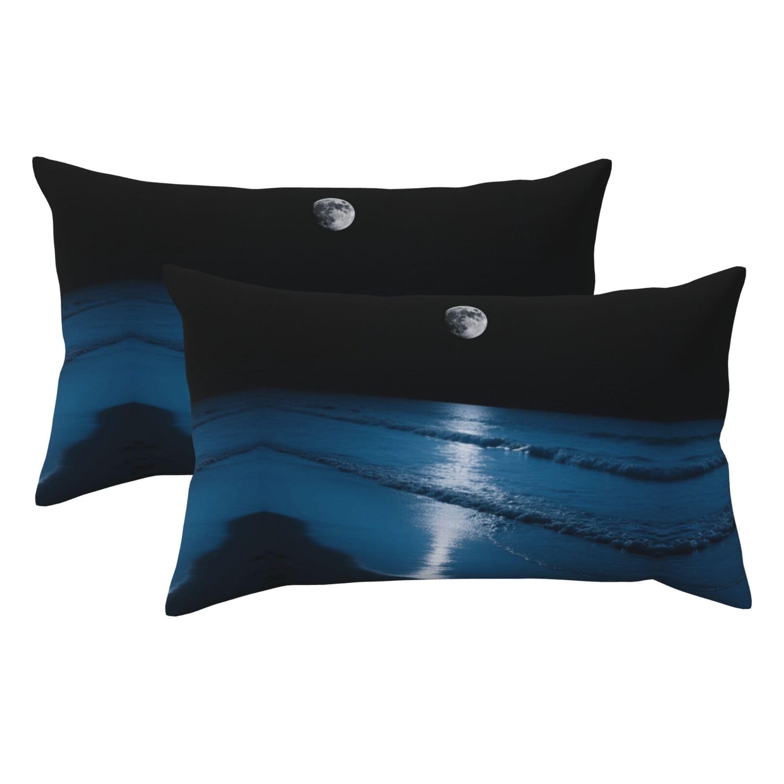 Black Moon Luxury King Pillowcases Set of 2, Plush Velvet Feel Pillow Covers with Hidden Zipper, Skin & Hair Friendly, 20x36 Inches Pillow Cases for Sleeping Gift