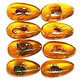 Western Eagle Workshop Large-Size 8-Piece Set: Insect Specimens Encased in Amber-Colored Resin, Oval Pendants for Home Decor - Ideal for Science Education and Entomology Enthusiasts.