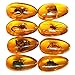 Western Eagle Workshop 8pcs Amber Fossil with Insects Samples Stones Crystal Specimens Home Decorations Collection Oval Pendant