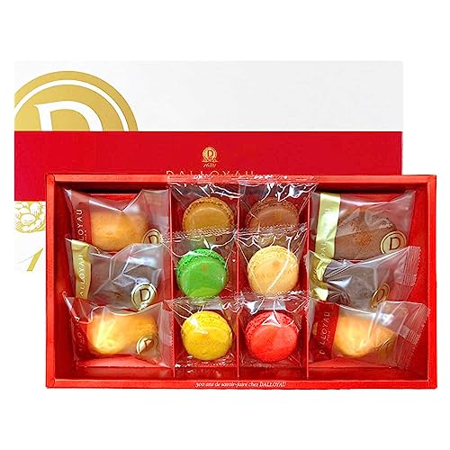 DALLOYAU(_C) }JhD~ZbNlߍ킹ij