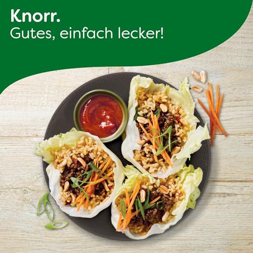 Knorr Paprika Sauce Ungarische Art leckere Grillsauce ohne geschmacksverstärkende Zusatzstoffe und Konservierungsstoffe 250 ml
