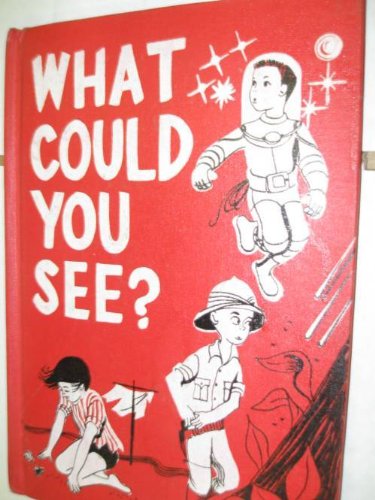 what could you see B001JH3SWK Book Cover