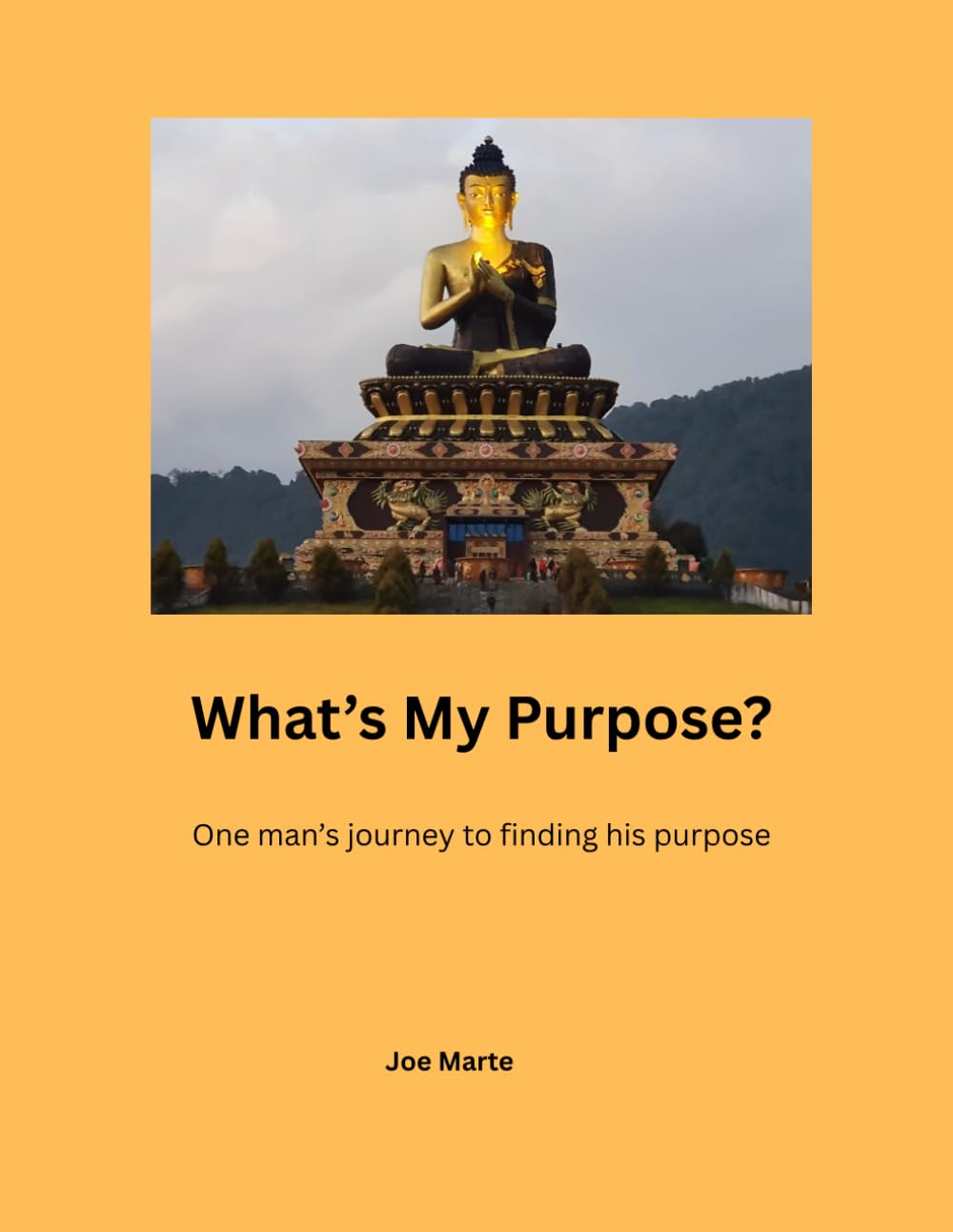 What's My Purpose: One man's journey to finding his purpose