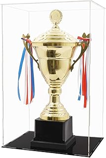 Odoria Clear Acrylic Assembly Required Display Box Case 20