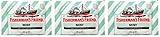 FISHERMAN'S FRIEND Sugar-Free Sugar-Free Mint Flavor Pastilles 3 Pack of 25g SÖPÖSÖPÖ pack (SOPOSOPO)