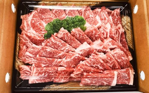 [博多和牛] ロース焼き肉用 約500g×1パック ロース リブロース サーロイン 焼肉 黒毛和種 和牛 牛肉 国産 お肉 肉 冷凍