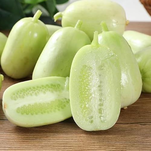 100 Pcs Cucumber Seeds for Planting - Early Maturing High Yield Vegetable Seeds, 60 Days Harvest, Suitable for Pots & Outdoor Gardens