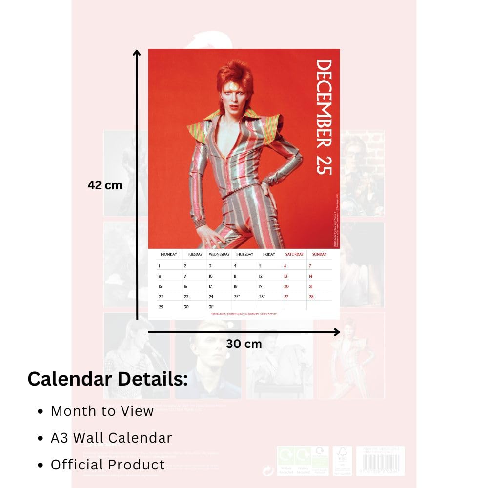 Official David Bowie A3 Calendar 2025: Original Danilo-Kalender [Mehrsprachig] [Kalender]