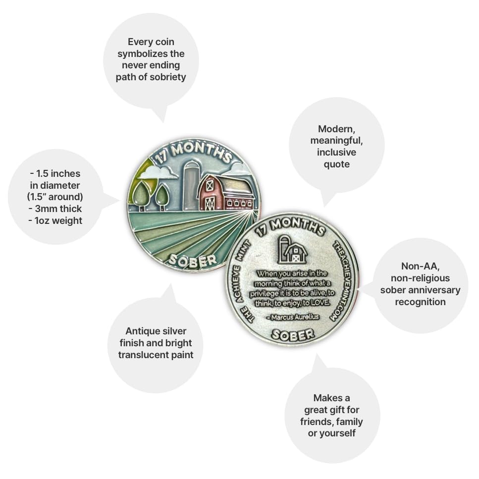Image of The Achieve Mint 17 Months Sober Token | Seventeen Months Sober Chip | Non-AA Gift, Non-Religious Medallions for Men and Women Celebrating Sobriety