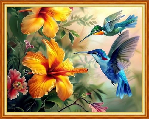 Image of Dimensean Stamped Cross Stitch Kits Full Range of Embroidery Patterns Starter Kits for Beginners Adult DIY Cross Stitches Needlepoint Kits 11CT-Hummingbirds Gather Honey 16x20 inch