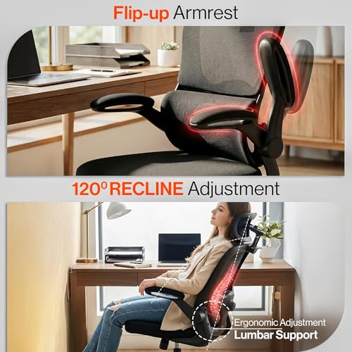 Image of DROGO Aerofly Premium Ergonomic Office Chair for Work from Home, 2D Headrest, High Back Computer Chair with Mesh, Flip-up Armrest, Recline,Adjustable Lumbar Support, Mesh Chair for Office (Black)