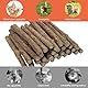 tekenewbse 32 Stück Katzenminze Stick, Katzen Zahnpflege Sticks Matatabi Stick Katze Kausticks Spielzeug, Kauhölzer Sticks für Zahnpflege & Gegen Mundgeruch, Katzenminze Sticks zum Schleifen Zähnen