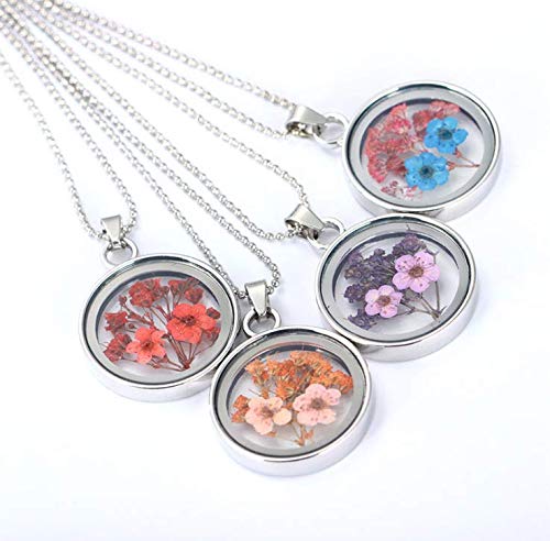 Jiali Q 10pcs Mixed Stainless Steel Tone Round Shape Dried Pressed Flower Pendant Flower Plant Charm Floating Pendant Necklace Making Supplies