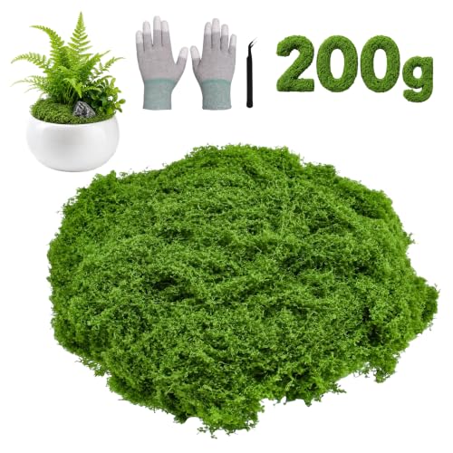 ZKAILCF Musgo Artificial, Espuma Artificial Decorativa para Bricolaje Presentación de Mesa Arreglos Florales Jardín de Hadas y Decoración de Bodas (Verde Oscuro)