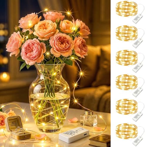 HXWEIYE 6 Pack USB Rechargeable Twinkle Fairy Lights with Timer 7ft 20 LED Waterproof Silver Copper Wire String Lights for DIY Crafts Mason Jar Centerpiece Mini Christmas Tree (Warm White)