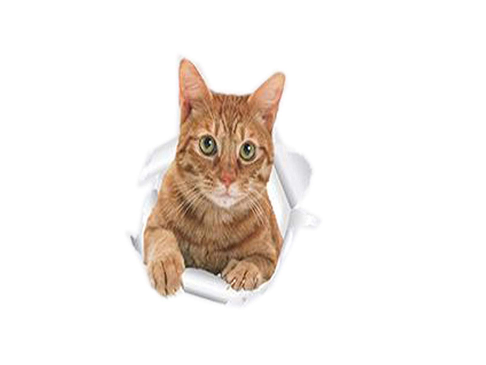 Futaba 3D Cat Hole View Cute Toilet Sticker - J