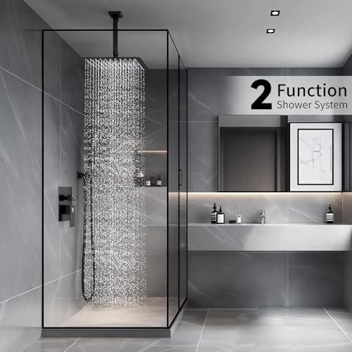 Image of SR SUN RISE 10 Inch Ceiling Mount Rain Shower System,Matte Black