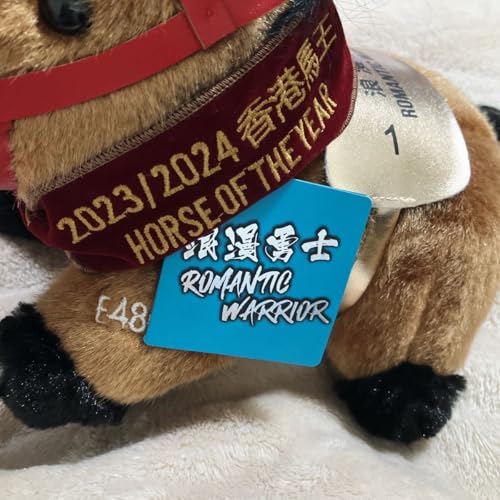 ` n Romantic Warrior }`bNEHA[ ʂ