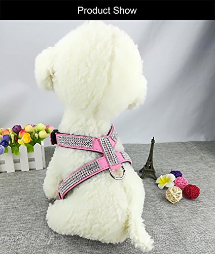 Newtensina Mode Hundegeschirr mit Diamantes Nettes Mädchen Bling Kleiner Hundegeschirr