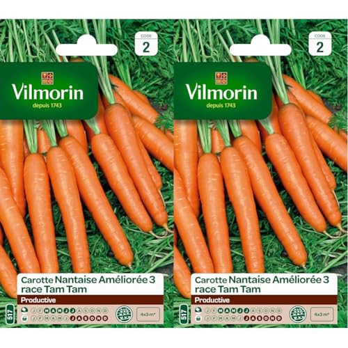 Vilmorin 3193142 Pack de Graines Carotte Nantaise Améliorée 3 Race Tam (Lot de 2)