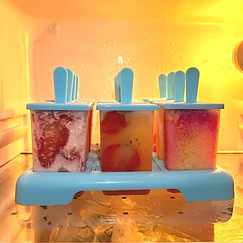 12 Cavities Popsicles Molds, Without BPA Popsicle Molds with Built-in Popsicle Stick, DIY Popsicle Molds with Cleaning Brush and Funnel