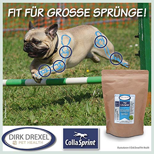 Dirk Drexel Collasprint mit Hyaluron I Hochwertiges Kollagen für Hunde in Pulverform I Unterstützt die Gelenke und Agilität I 250 g