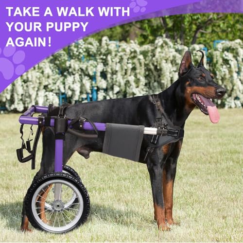 Hunderollstuhl für Hinterbeine - Hunderollstuhl (extra groß)