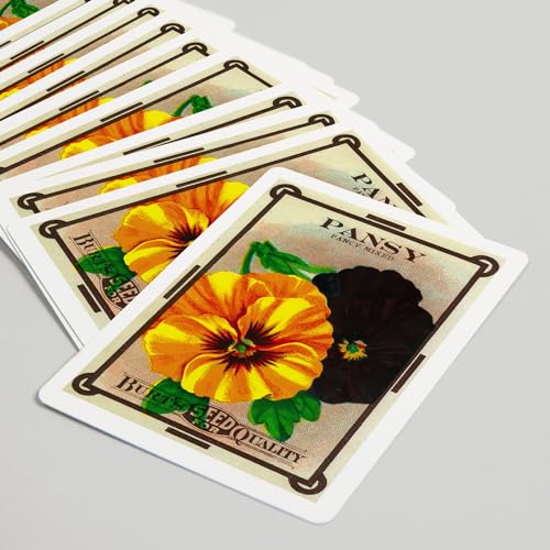 Lantern Press Pansy Baraja de 52 cartas tamaño póker miniatura 5