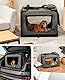 lionto Hundetransportbox faltbar für Reise & Auto, 82x58x58 cm, stabile Transportbox mit Tragegriffen & Decke für Katzen & Hunde bis 18 kg, robuste Hundebox aus Stoff für klein & groß, grau
