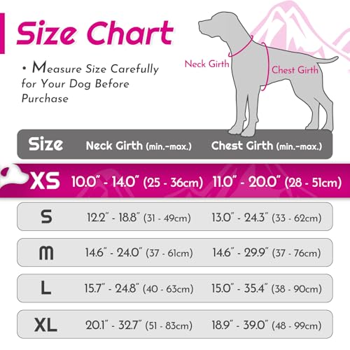Image of Eagloo Dog Harness for Small Dogs, No Pull Pet Vest with 2 Leash Clips