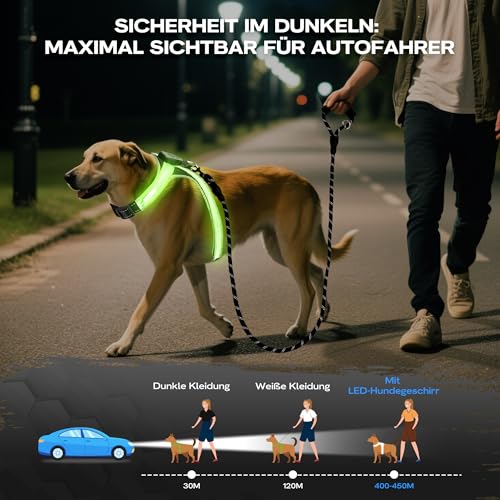 WATSABRO LED Hundegeschirr Set, mit 1,5m Reflektierende Hundeleine, Verstellbare Aufladbares Beleuchtetes Hundegeschirr für Nachtspaziergänge(Nicht geeignet für kleine Hunde wie Chihuahuas)