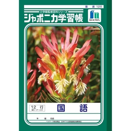 VEm[g W|jJwK  12s B5 JL-11 × 2