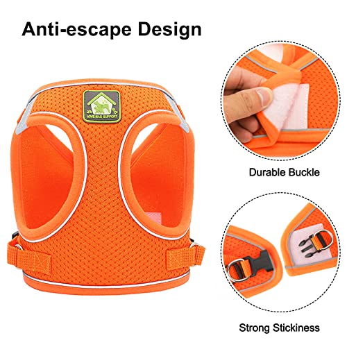 Zhenle Colliers, Harnais et Laisses pour Chats Harnais Chaton Anti évasion Réfléchissant Réglable Harnet pour Chat Gilet Respirant Harnais Petit Chien (S) – vue 4