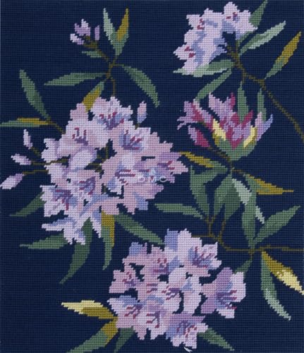 Canevas Penelope DMC rhododendrons tapisserie guidée sans erreur