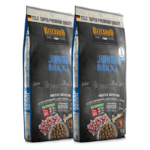 2 x 12,5 kg Belcando Junior Maxi- Sparpaket